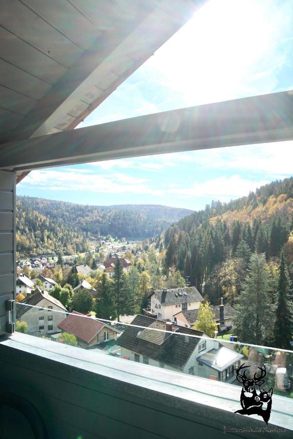 Apartment Apartment-chalet Panorama Todtmoos