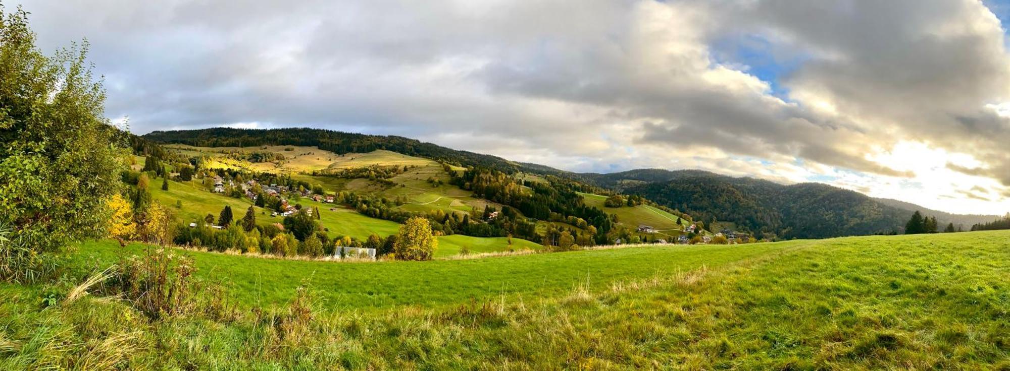 Apartment-chalet Panorama Todtmoos